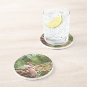 Dessous De Verre En Grès Heure de nourrissage (Côté)