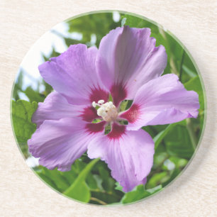 Dessous De Verre En Grès Hibiscus