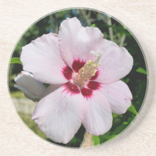 Dessous De Verre En Grès Hibiscus