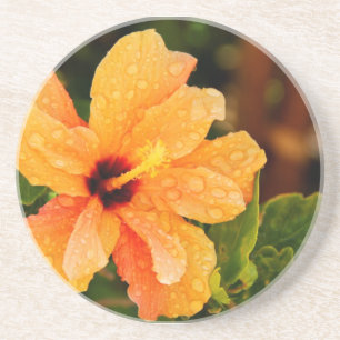 Dessous De Verre En Grès Hibiscus