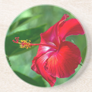 Dessous De Verre En Grès Hibiscus Blossom