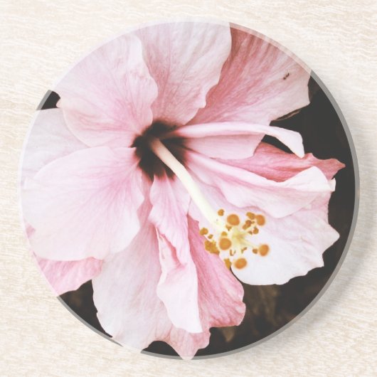 Dessous De Verre En Grès Hibiscus rose (Devant)