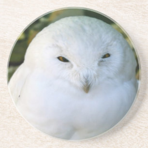 Dessous De Verre En Grès Hibou des neiges