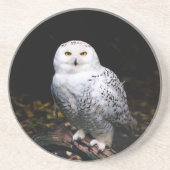 Dessous De Verre En Grès Hibou des neiges majestueux d'hiver (Devant)