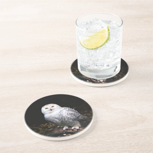 Dessous De Verre En Grès Hibou des neiges majestueux d'hiver (Côté)