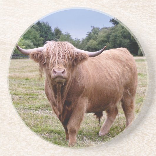 Dessous De Verre En Grès Highland Cow Coaster (Devant)