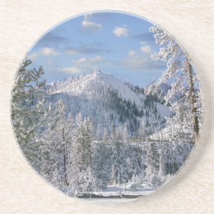 Dessous De Verre En Grès Hiver dans le parc national de Yellowstone, Wyomin