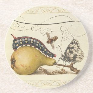 Dessous De Verre En Grès Hoefnagel Vintage Poire & Insectes Renaissance 150