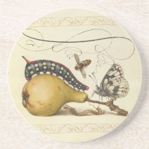 Dessous De Verre En Grès Hoefnagel Vintage Poire & Insectes Renaissance 150