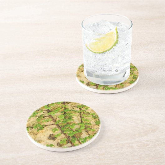 Dessous De Verre En Grès Hydrangea petiolaris (Côté)