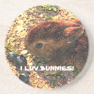 Dessous De Verre En Grès I LAPINS DE LUV ! Mignon