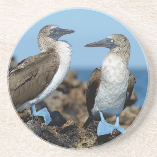 Dessous De Verre En Grès Îles Galapagos, île Isabela (Devant)