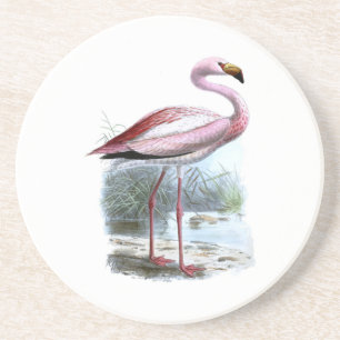 Dessous De Verre En Grès Illustration Vintage du Flamant rose Puna