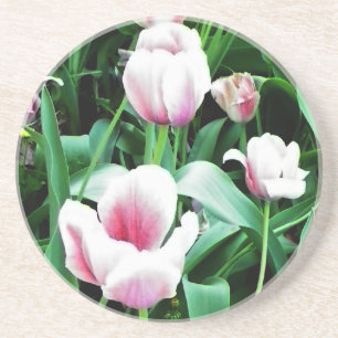 Dessous De Verre En Grès Image des tulipes roses