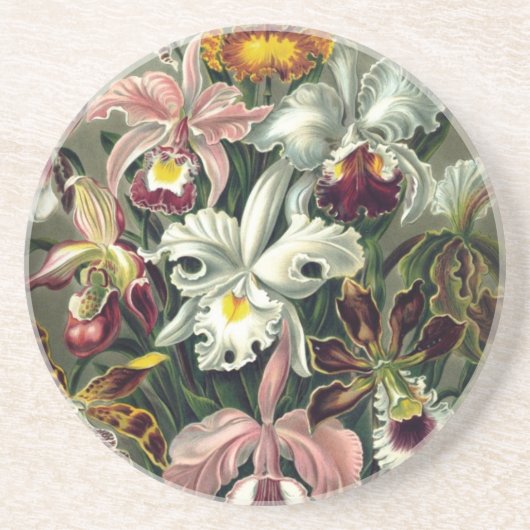 Dessous De Verre En Grès Impression botanique des orchidées (Devant)