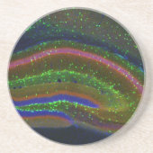 Dessous De Verre En Grès Interneuron 6 (Devant)