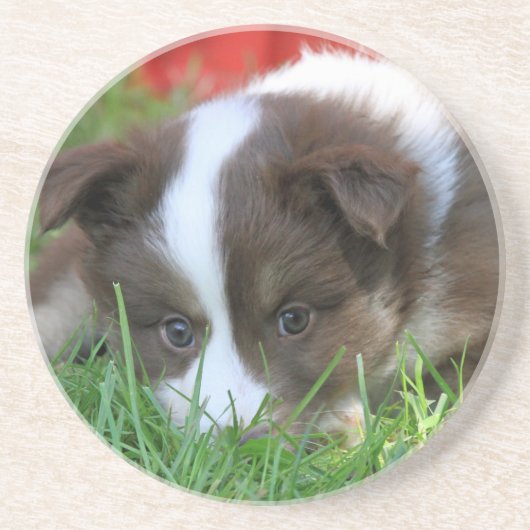 Dessous De Verre En Grès Islandhund (Devant)