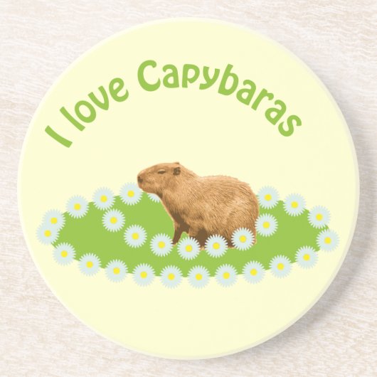 Dessous De Verre En Grès J'adore les montagnes russes Capybaras (Devant)
