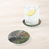 Dessous De Verre En Grès Jaguar Growl (Côté)