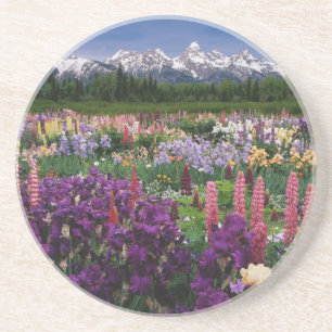 Dessous De Verre En Grès Jardin d'Iris et de Lupin et chaîne Teton,