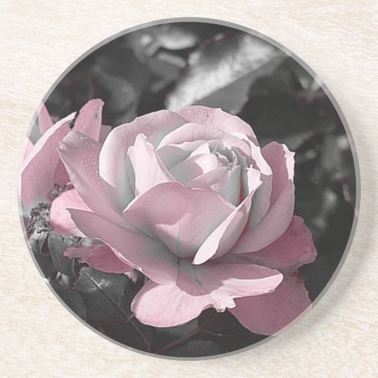 Dessous De Verre En Grès Jardin rose rose (Devant)