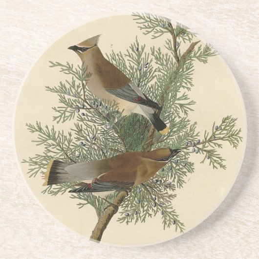 Dessous De Verre En Grès Jaseur d'Audubon (Devant)