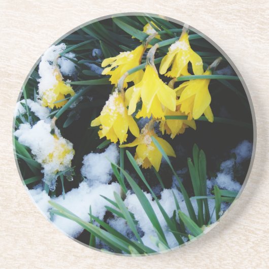 Dessous De Verre En Grès Jaune Daffodils fleurs dans la neige (Devant)