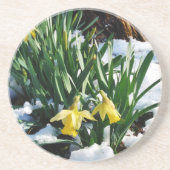 Dessous De Verre En Grès Jaune Daffodils fleurs dans la neige (Devant)