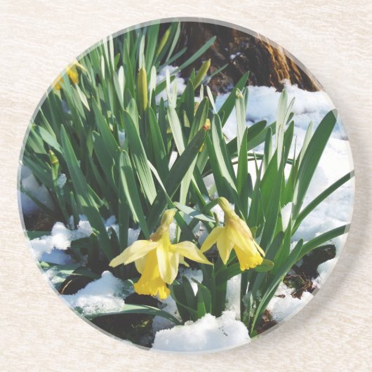 Dessous De Verre En Grès Jaune Daffodils fleurs dans la neige (Devant)