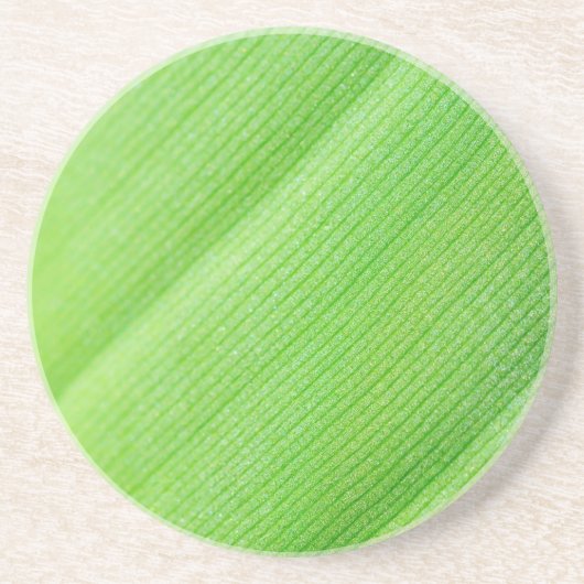 Dessous De Verre En Grès Jeune feuille de banane verte (Devant)