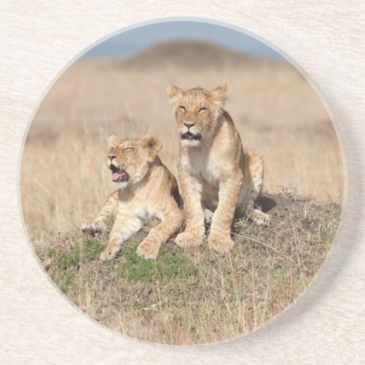 Dessous De Verre En Grès Jeunes lions (Devant)