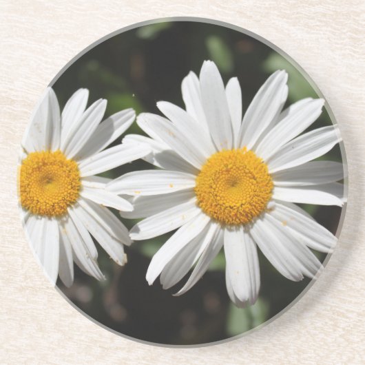 Dessous De Verre En Grès Joli blanc fleur marguerite (Devant)