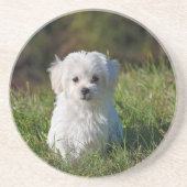 Dessous De Verre En Grès Joli chiot blanc (Devant)