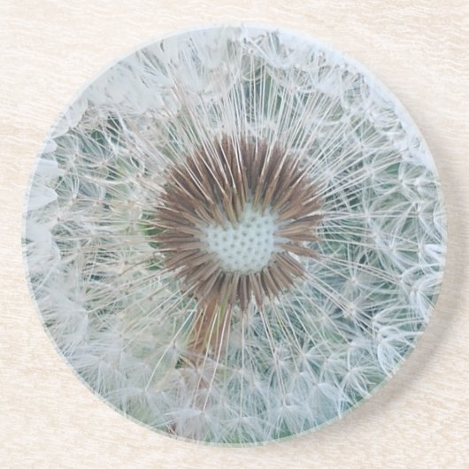 Dessous De Verre En Grès Joli Dandelion blanc (Devant)