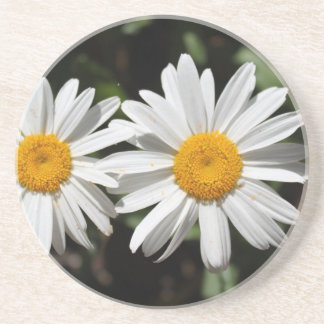 Dessous De Verre En Grès Jolies fleurs de marguerite blanches pures