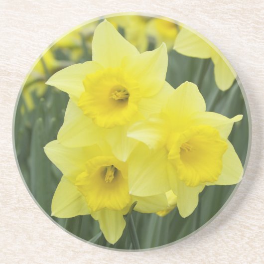 Dessous De Verre En Grès Jonquilles RF) (Devant)