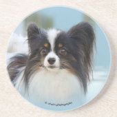 Dessous De Verre En Grès Jouet Papillon mignonne Chien espagnol à l'quai (Devant)