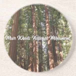 Dessous De Verre En Grès Jusqu'aux Séquoias II au monument national Muir Wo