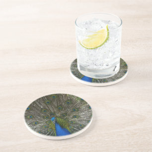 Dessous De Verre En Grès Kauai Peacock