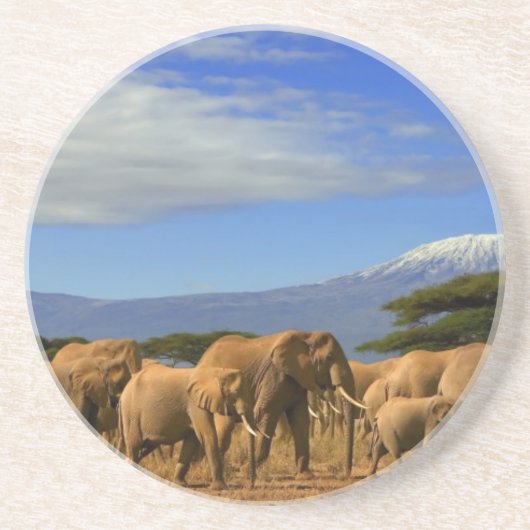 Dessous De Verre En Grès Kilimanjaro et éléphants (Devant)