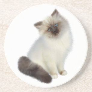 Dessous De Verre En Grès Kitten perse