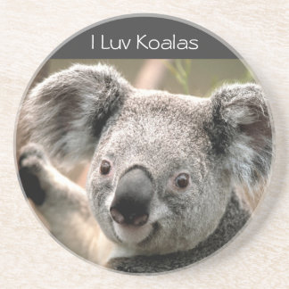 Dessous De Verre En Grès Koala, koala d'I Luv