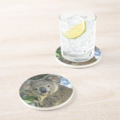 Dessous De Verre En Grès Koala, Phascolarctos cinereus), en danger, (Côté)