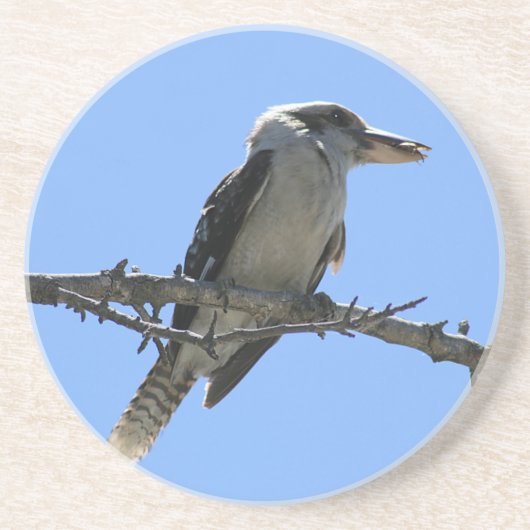 Dessous De Verre En Grès Kookaburra australien (Devant)