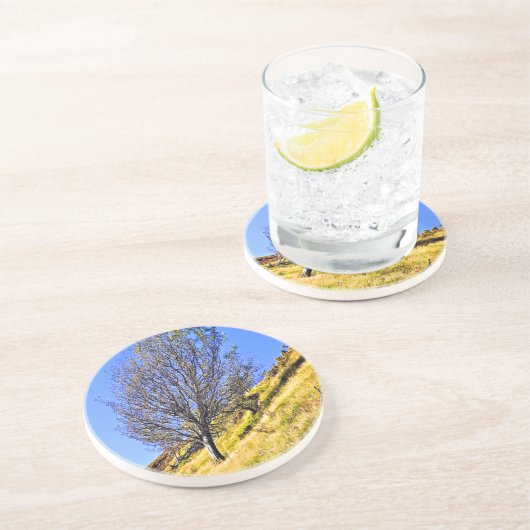 DESSOUS DE VERRE EN GRÈS L0NE TREE (Côté)