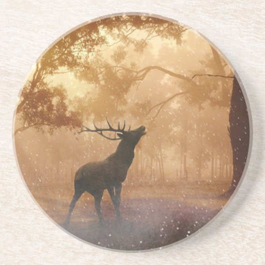 Dessous De Verre En Grès La Forêt (Devant)