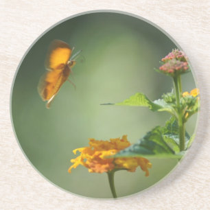 Dessous De Verre En Grès La Lumière de l'été