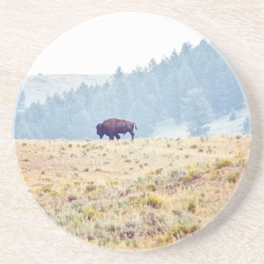 Dessous De Verre En Grès Lamar (Devant)