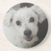 Dessous De Verre En Grès Lambchop II (Devant)