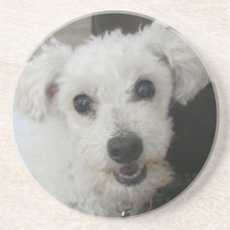 Dessous De Verre En Grès Lambchop II